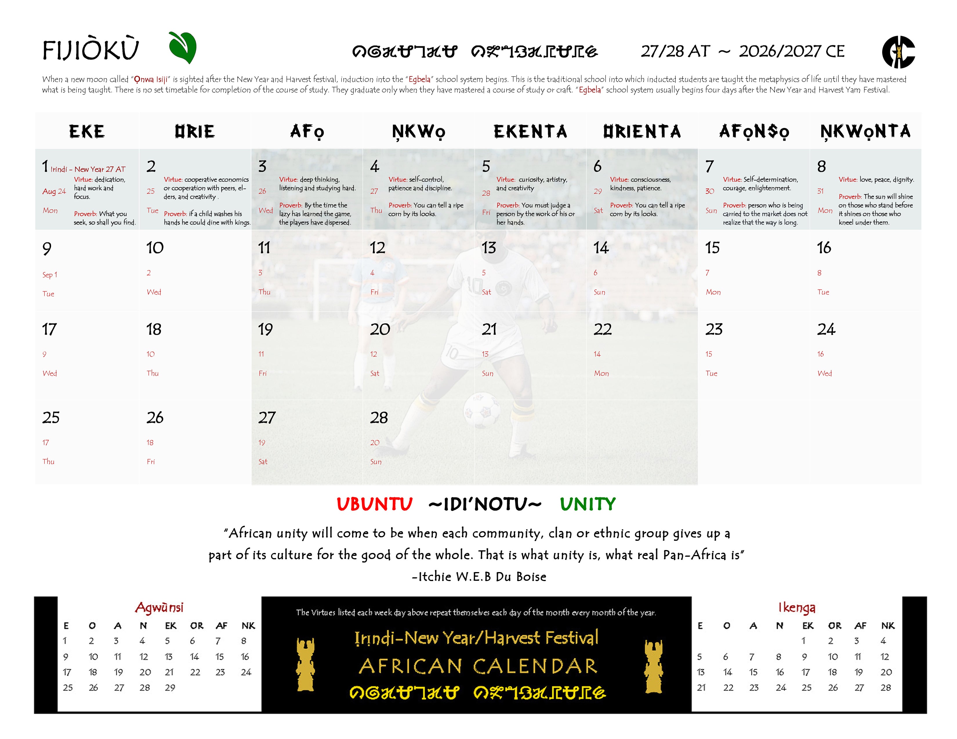 African Sports Icons